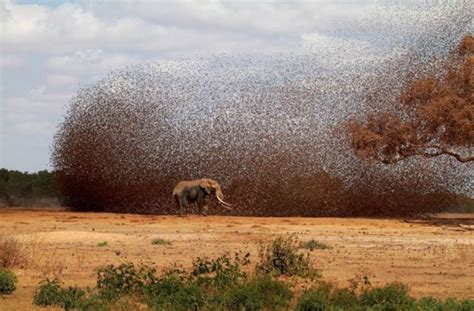 Cool Pics From 2012 National Geographic Photo Contest 50 Pics