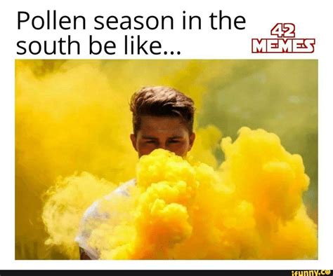 Pollen Season In The South Be Like Memes Ifunny Brazil