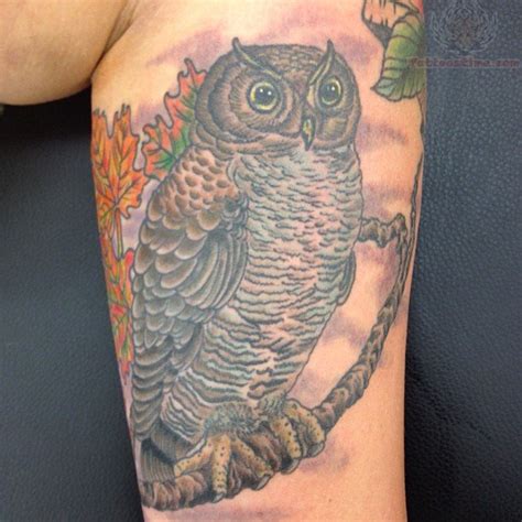 Owl Tattoo Images And Designs