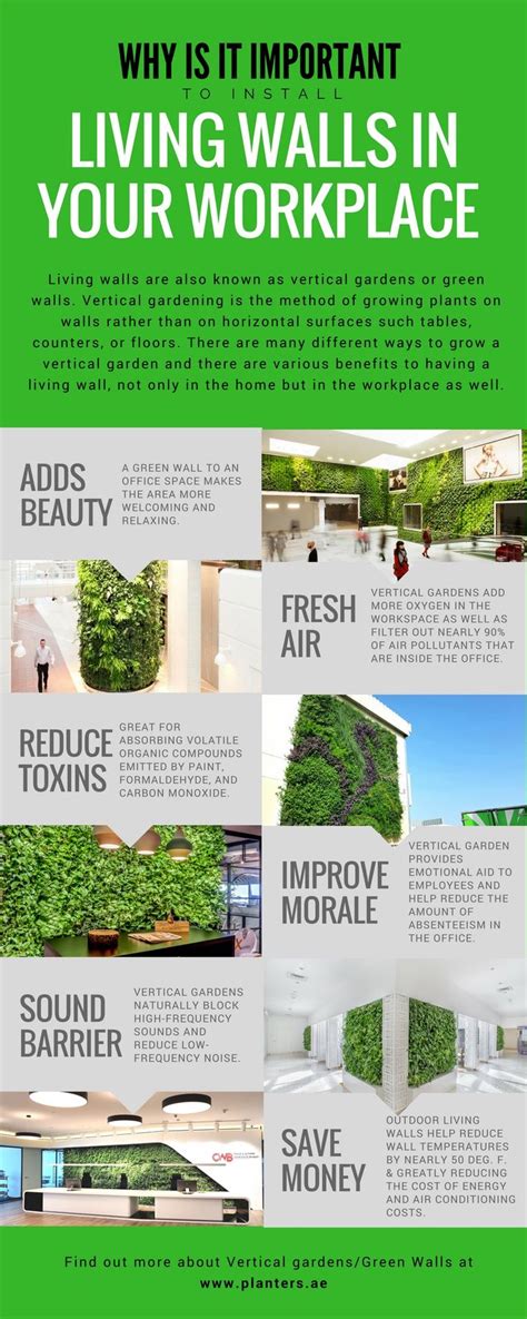 Benefits Of Installing Living Green Walls In The Office Green Wall
