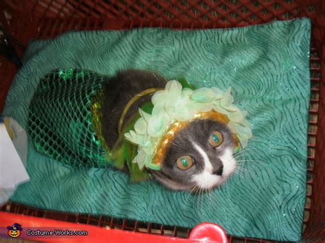 Little Mermaid Cat Costume Photo 24