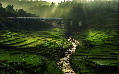 Rice Paddy Terraces Valley Vietnam Mountain Road Mist River Green Trees