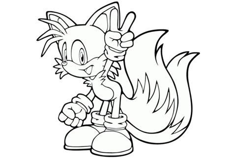 Tails Sonic Hedgehogs Best Friend Spindash Healer Thundershoot Sonice