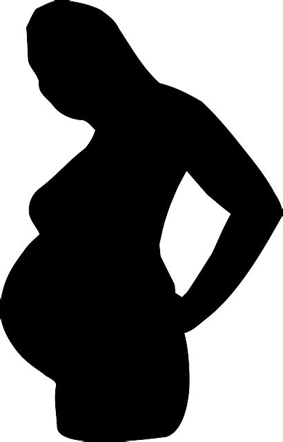 Pregnant Belly Female Free Vector Graphic On Pixabay
