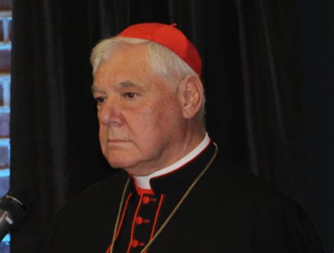 Deutsche Bischöfe auf Distanz zu Aufruf von Kardinal ...