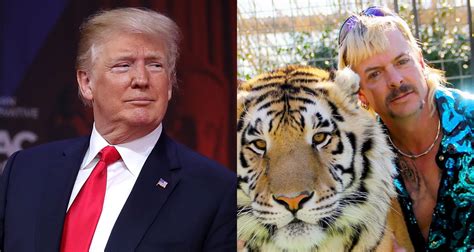 president trump addresses possibly pardoning ‘tiger king star joe exotic donald trump joe