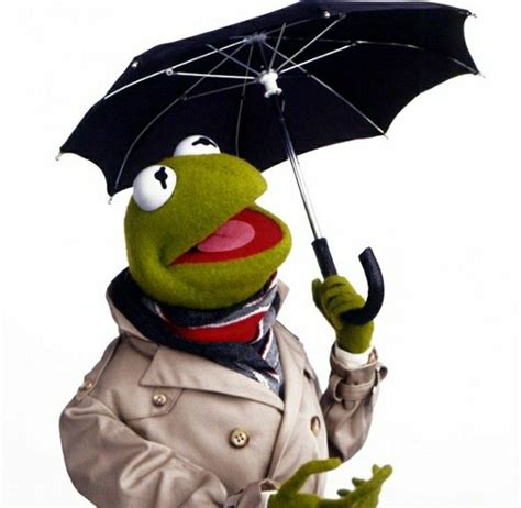 Kermit Jim Henson Kermit The Frog Meme Office Poster Miss Piggy