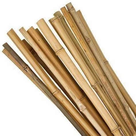 Cane Sticks Wholesaler And Wholesale Dealers In India