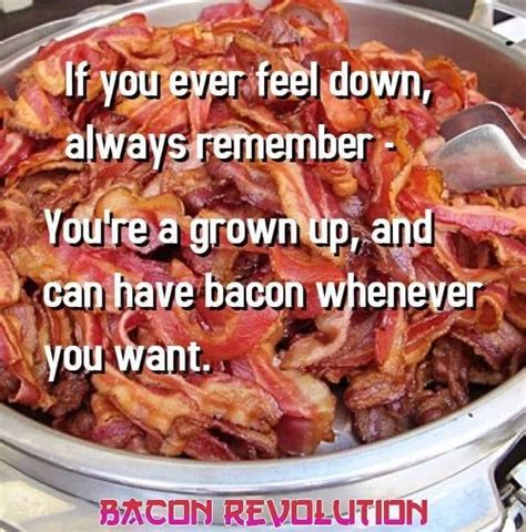 Bacon Memes The Meme