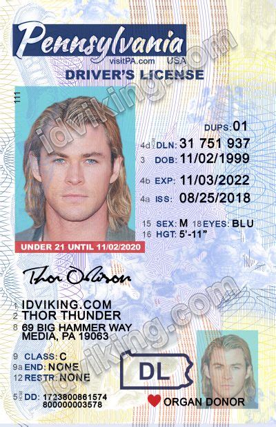 Pennsylvania U21 Pa Drivers License Psd Template Download