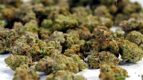 And canada (cbd, mj, aurora cannabis, canopy growth, cronos, tilray) Here's a Running List of Canada's Dumbest New Weed Laws - VICE