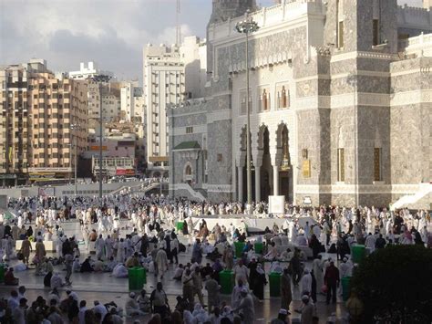 نقاشي ديجيتالي فانتزي كودكانه دختر بچه اي با خرگوشش روي برگها گنجینه تصاویر تبيان