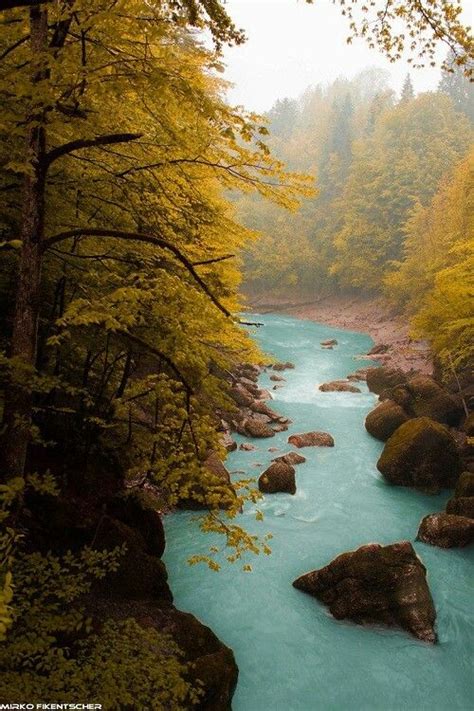 Scogliere a picco sul mare, pascoli erbosi, grandi castelli, misteriose leggende: Paesaggio incantevole | Paesaggi, In the woods