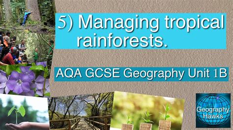 5 Managing Tropical Rainforests Aqa Gcse Geography Unit 1b Youtube