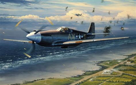 Pin By Jesse Love On P51 Aircraft Aircraft Painting Wwii Aircraft