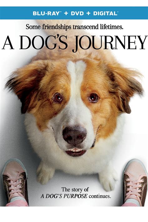 Wiki with the best quotes, claims gossip, chatter and babble. A Dogs Journey - Sequel to A Dog's Purpose | Mama Likes This