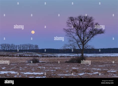 Full Moon Over Snowy Landscape Hi Res Stock Photography And Images Alamy