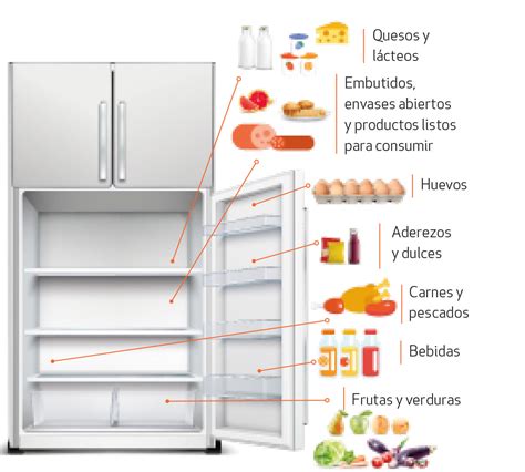 Categoría apelación Tranquilizar orden correcto de los alimentos en el