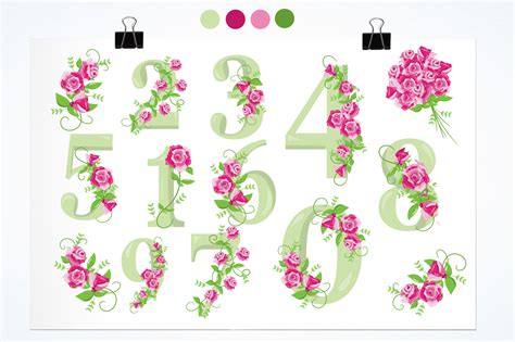 Floral Numbers Graphics And Illustrations 14645 Illustrations