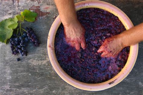 Create pretty cards easily with this method. Step-by-Step Winemaking Process for Beginners | LoveToKnow