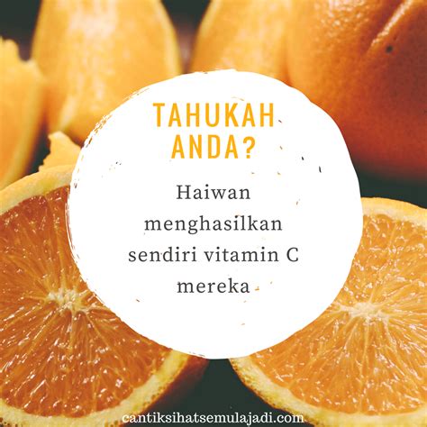 Manfaat Dan Kebaikan Vitamin C Serta Perbezaan Vita C Shaklee Umi Nazrah