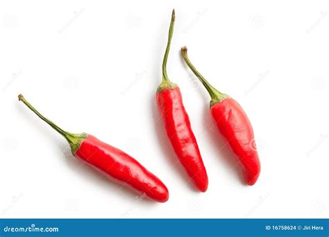 Red Hot Peppers Stock Photo Image Of Mexico Cook Culture 16758624