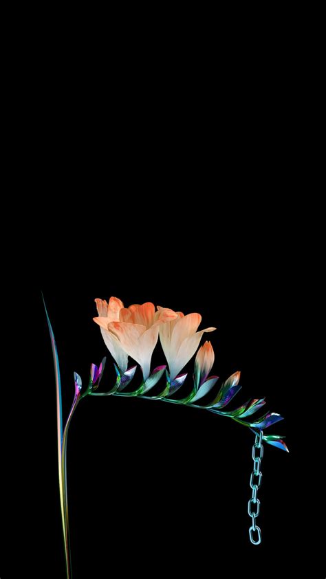 Flower Amoled Fhd Wallpapers Wallpaper Cave