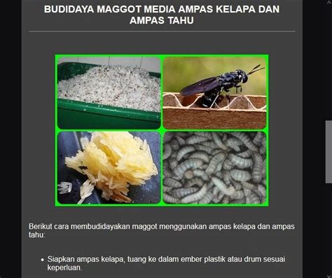 Download the apk file of the application you need (for example: Download Ebook Budidaya Maggot : Tantangan Penggunaan Maggot Di Industri Pakan Ikan Dan Unggas ...