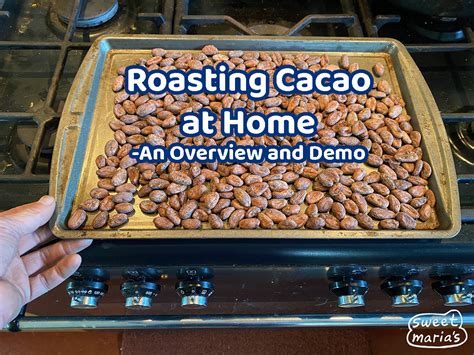 Cacao Cocoa Coffee Video Resources Sweet Marias Coffee Library