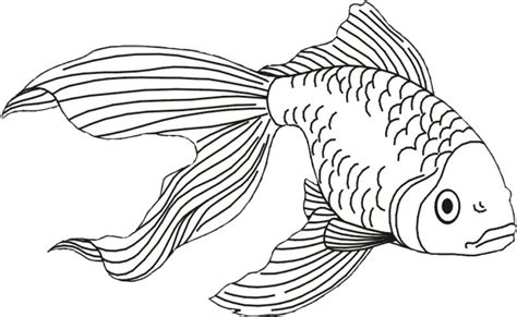 Download Free Png Download Fish And Shark Coloring Pages Png Gold