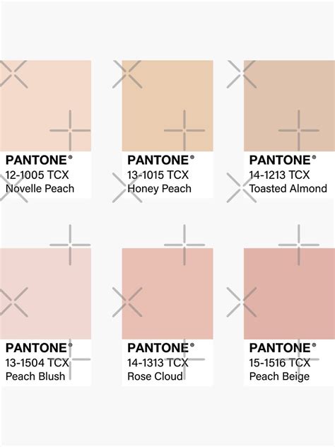 Nude Pink Pantone Color Swatch Pack Sticker By Jadeillustrates