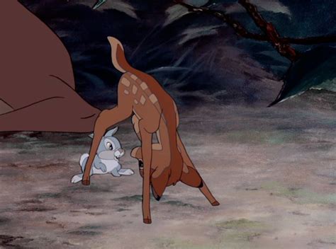 1000 Images About Disneys Bambi On Pinterest
