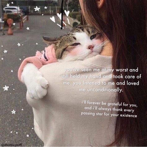 I Love You Cat Memes For Him