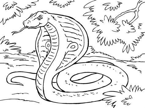 100% free coloring page of a 1965 ac cobra. Cobra coloring page - Coloring Pages 4 U
