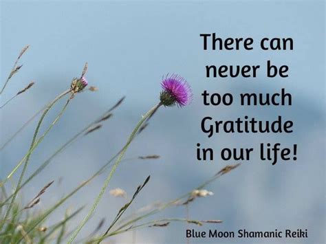 There Can Never Be Too Much Gratitude In Our Life Attitude Of