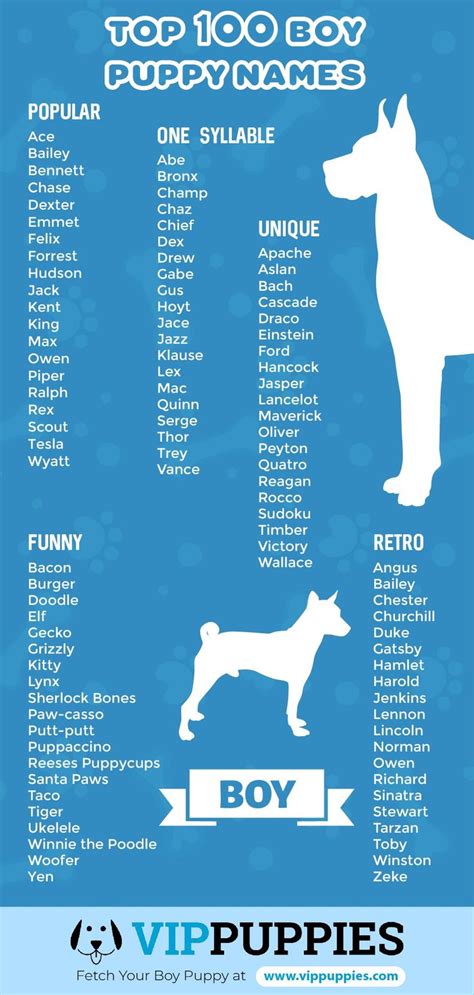 What are the most popular baby names in 2019? Puppy Names for Boys (1,000 Fantastic Name Ideas in 2020 ...