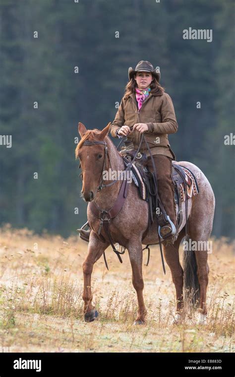 Female Wrangler Cowgirl On Horse Montana Usa Stock Photo Alamy