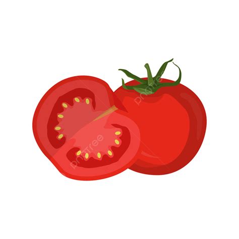 Gambar Vektor Buah Tomat Tomat Png Vektor Tomat Vektor Buah Png Dan