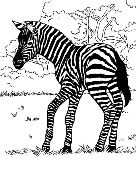 Dessin Zèbre #13027 (Animaux) à colorier – Coloriages à imprimer