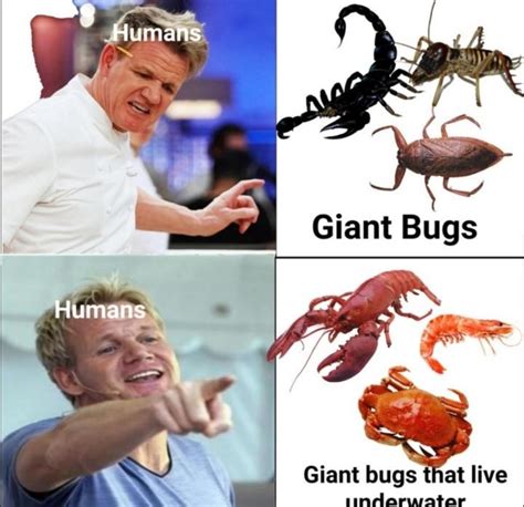 Bugs Are Just Landfood Memebase Funny Memes