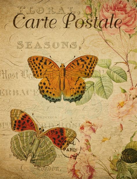 Butterfly Vintage Art Postcard Free Stock Photo Public Domain Pictures