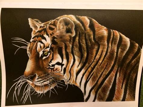 Picture of funny coloring pages free for children upmly. Tiger by Julie White | Realistic animal drawings, Adult ...