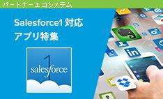 セールスフォース・ドットコム アプリケーション担当責任者に聞く【前編】 プラットフォーマーとして大きな一歩となった Salesforce1 ...