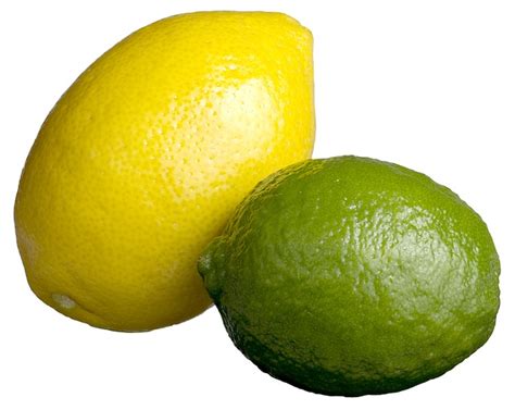 Like limes, there are several species of lemon that grow on small trees or bushes. Free photo: Lemon Lime, Lime Lemon, Citrus - Free Image on ...