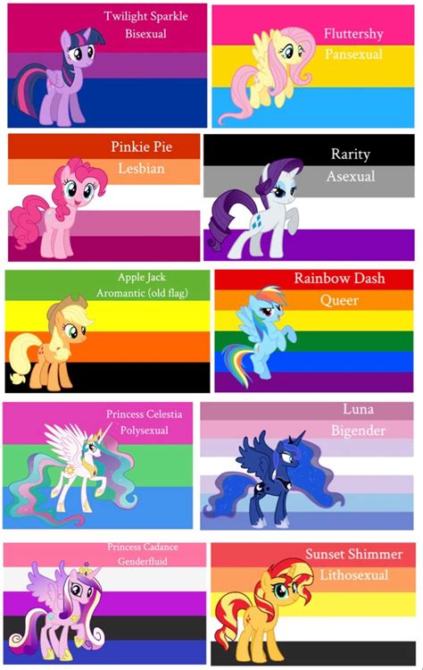 The Ponies Are The Pride Flags Pride Flags Lgbtq Funny My Little