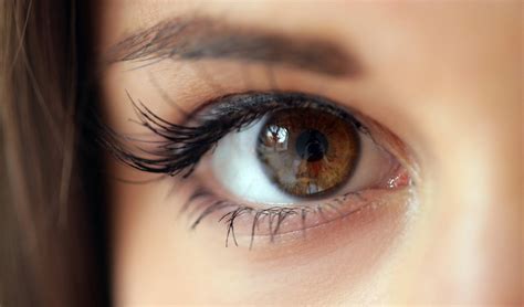 10 Characteristics Of People With Brown Eyes Pei Magazine