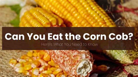 Can You Eat The Corn Cob Everything You Need To Know