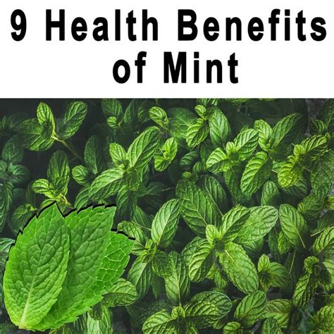 9 Health Benefits Of Mint In 2020 Natural Remedies Health Benefits