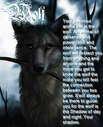 Wolf Poems And Quotes Quotesgram