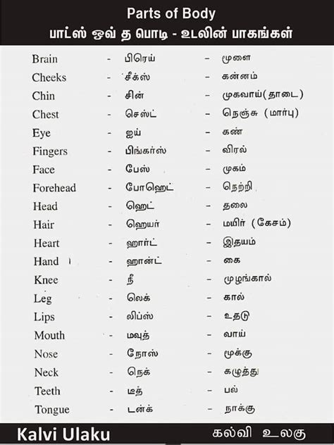 Here are some body parts names. Body Parts Tamil / Know Your Body Inside Your Body ...